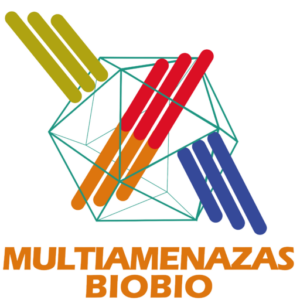 Participación en Congreso de Geomorfología chileno