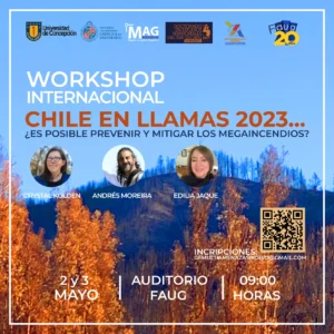 Exitoso Workshop “Chile en llamas”